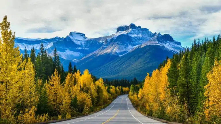 best time to visit canada autumn trees lining road