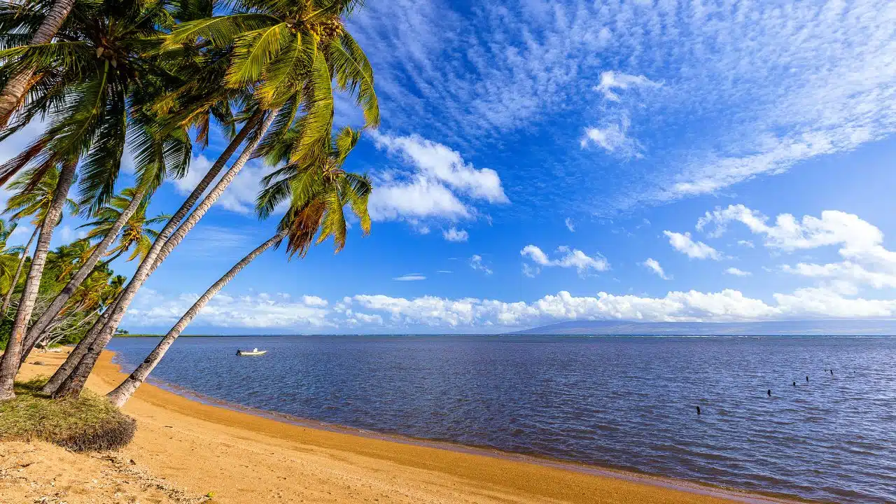 Reason-To-Visit-Molokai-Beaches