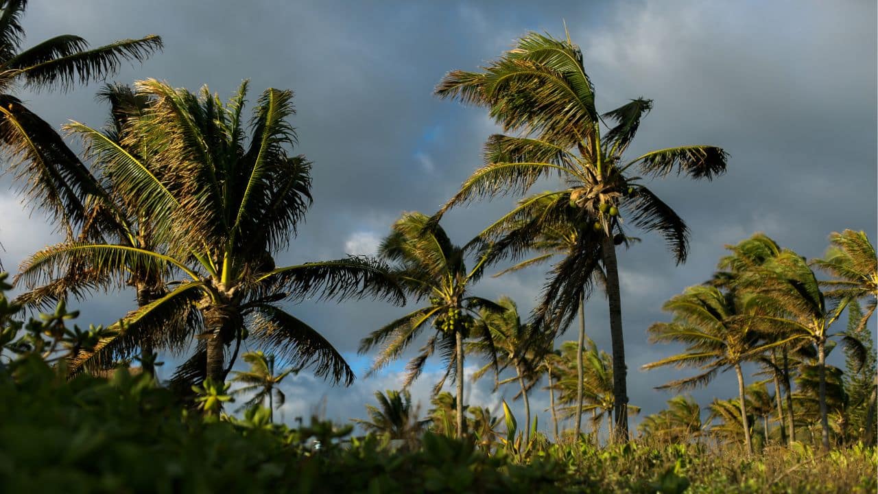 Guide to Weathering Hurricane Season In Hawaii Next Vacay