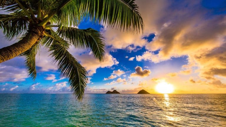 Which-Hawaii-Island-You-Must-Visit?