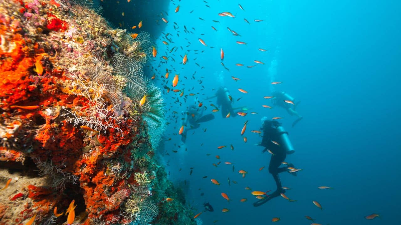 Best-Diving-Sites-In-Hawaii