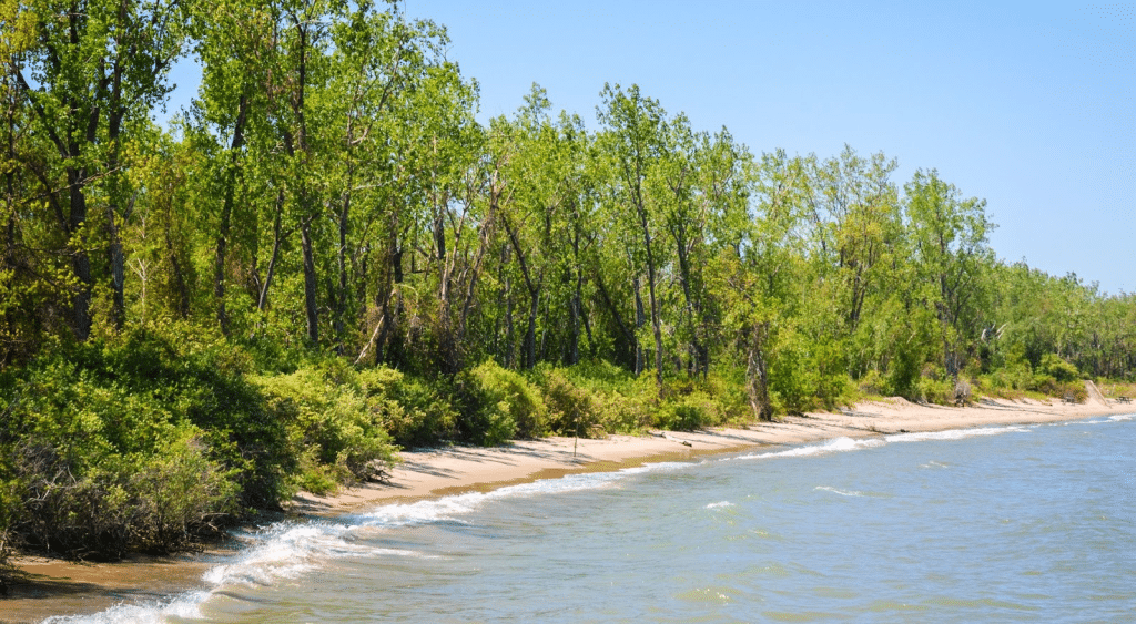 The Best Beaches in Presque Isle State Park - Next Vacay