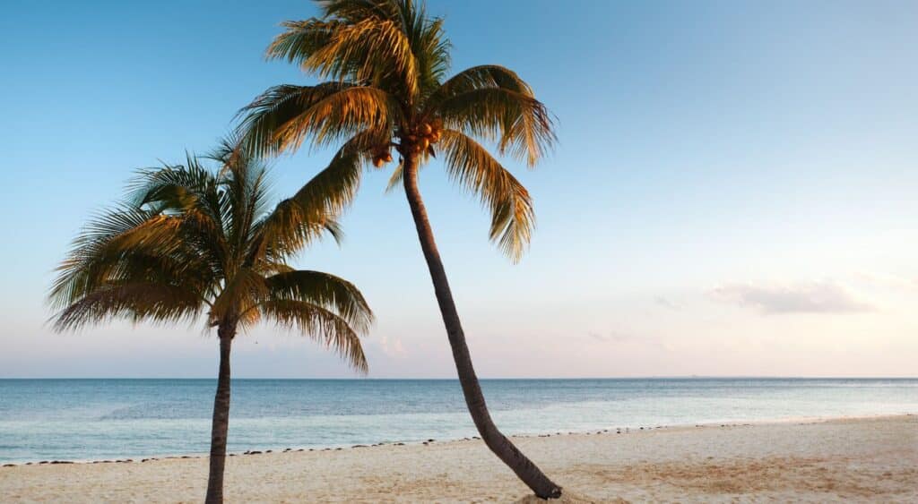 When is Hurricane Season in Cancun? Next Vacay