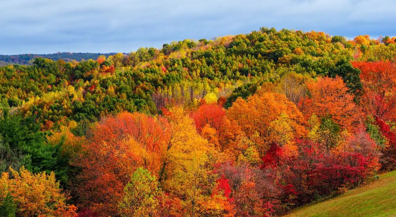 autumn colors in hocking hills, ohio