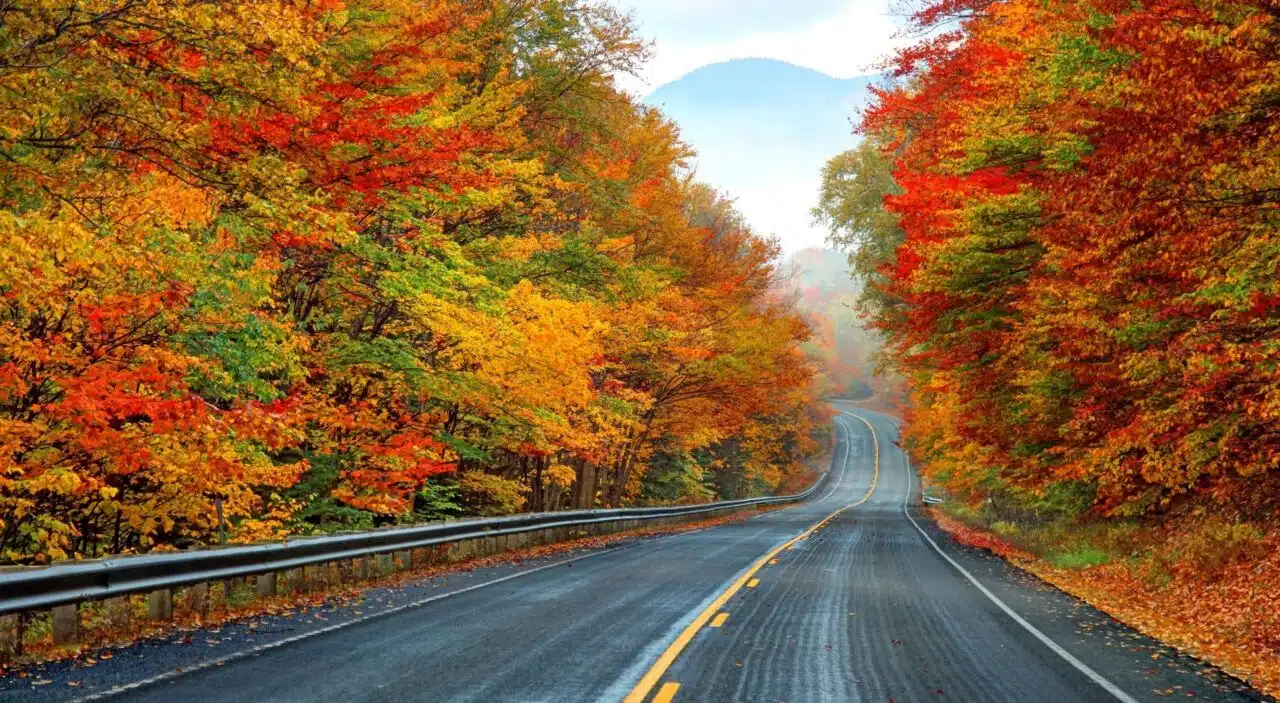 kancamagus scenic byway surrounded by fall foliage 