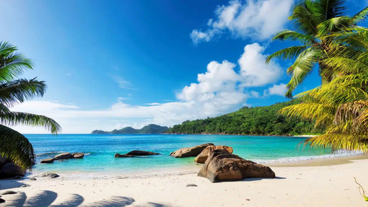 Sandy white beach with palm trees and turquoise waters