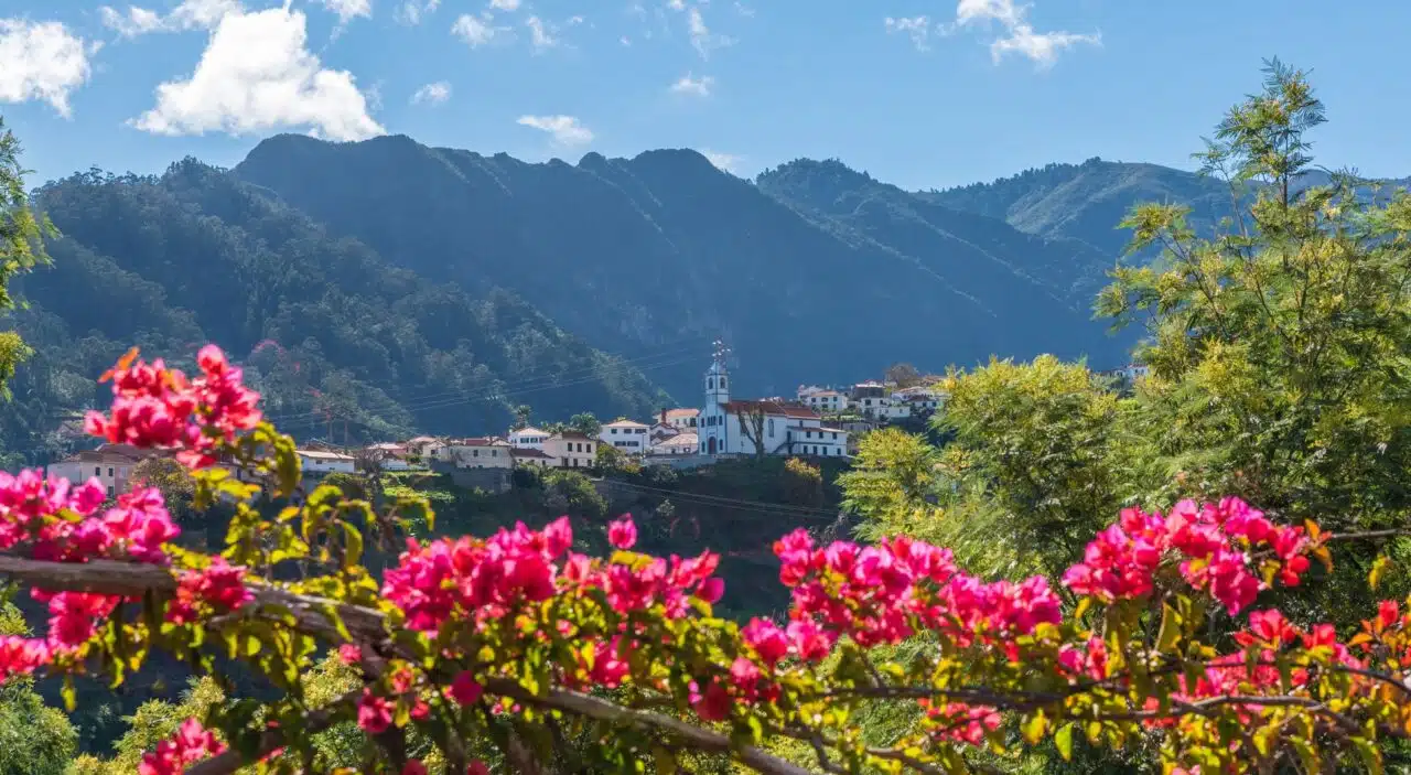 Pink blossoms in foreground with view of mountain village Sao Vicente in background, Madeira