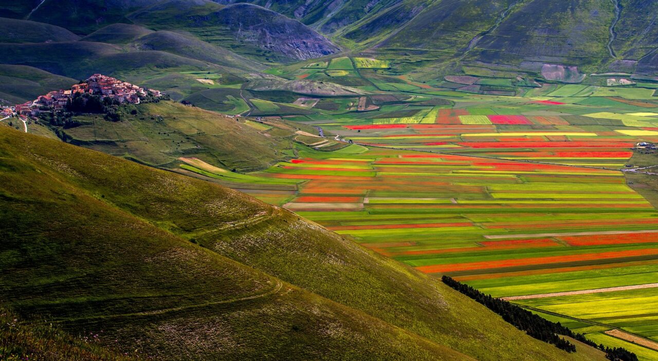 Aerial view of colorful fields of wildflowers during la fioritura in Umbria, Italy