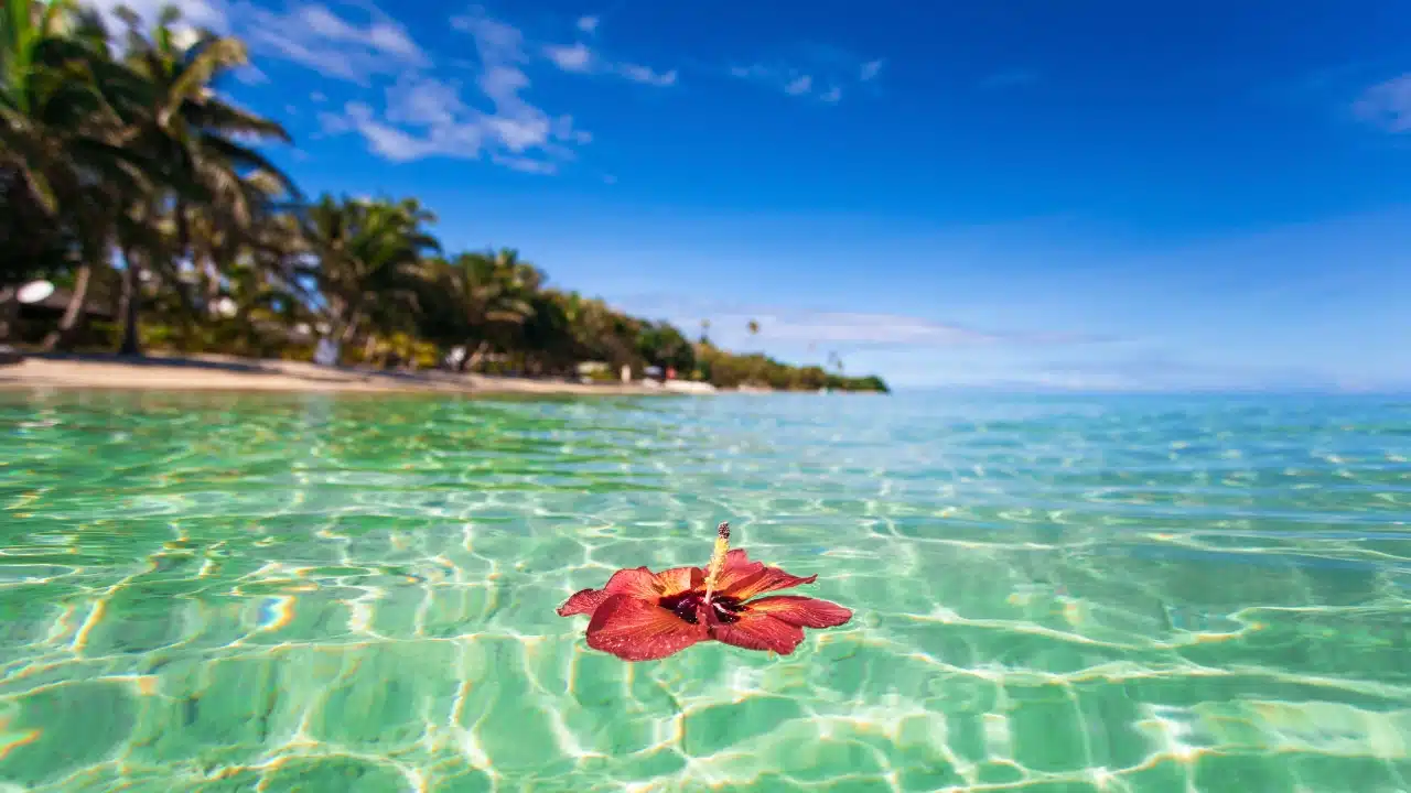 Why-Visit-Nadi-Fiji