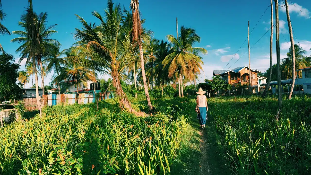 Traveler walking along a lush tropical path lined with coconut palm trees in Georgetown, Guyana, showcasing the region's peaceful countryside, local homes, and authentic Caribbean landscape.